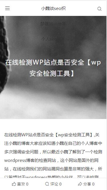 hunter免费 WordPress 响应式主题:内容页预览